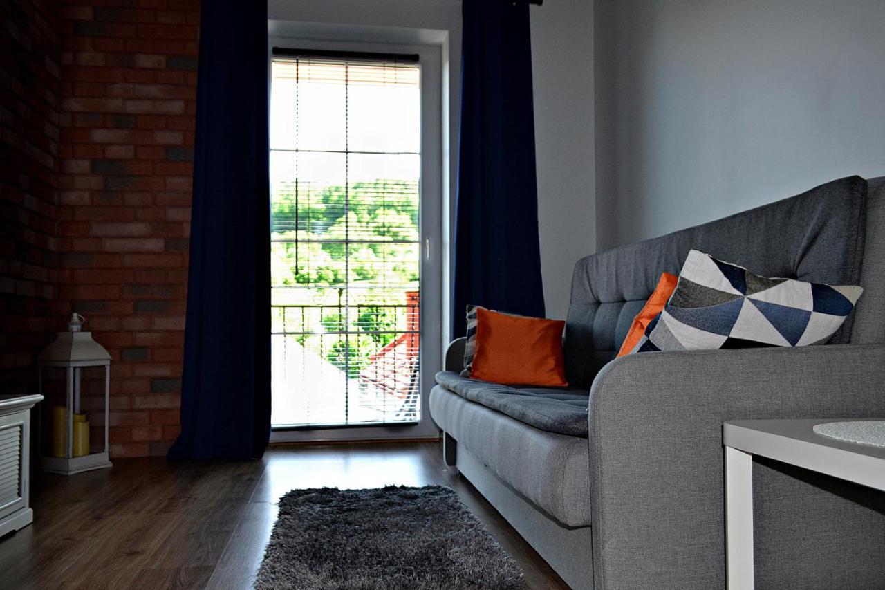 Apartament Usmiech Ustrzyki Dolne Ngoại thất bức ảnh