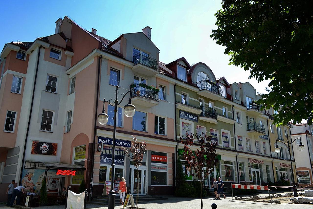 Apartament Usmiech Ustrzyki Dolne Ngoại thất bức ảnh